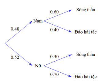 Hình minh họa câu hỏi